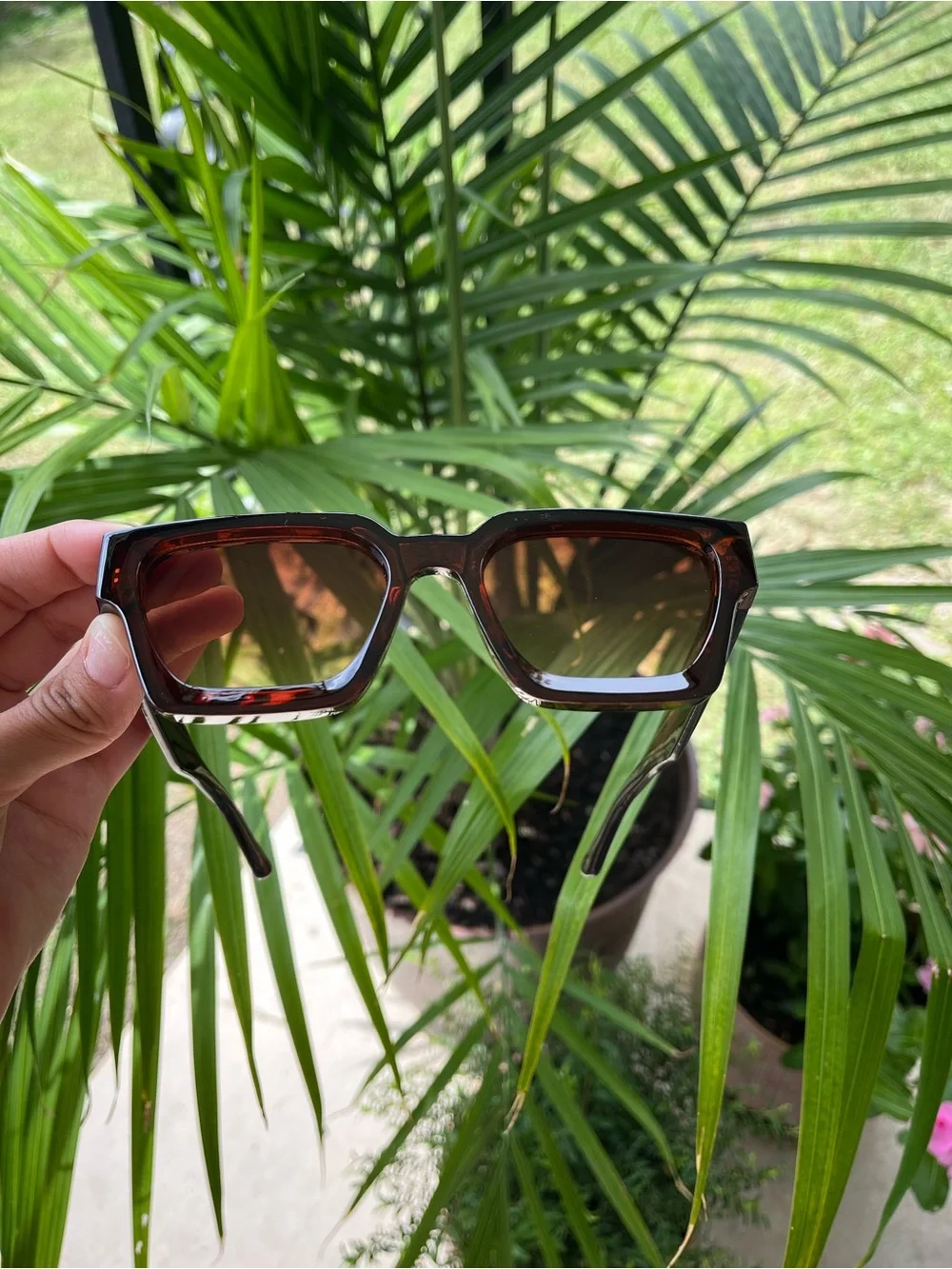 Sunglasses / Gafas